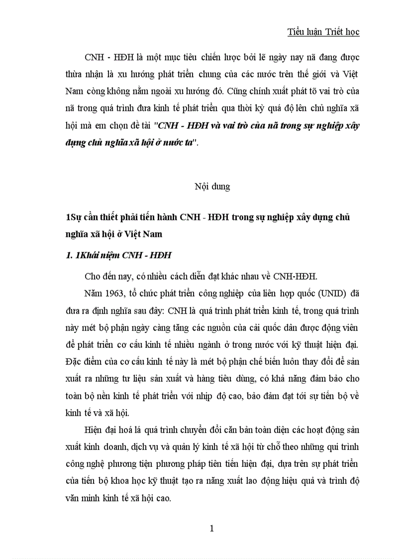 CNH HĐH và vai trò của nó trong sự nghiệp xây dựng chủ nghĩa xã hội ở nước ta 1