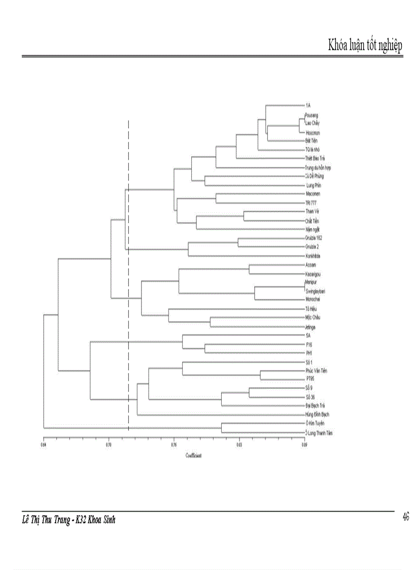 image for page Nghiên cứu đa dạng di truyền các giống dòng chè thu thập ở Việt Nam