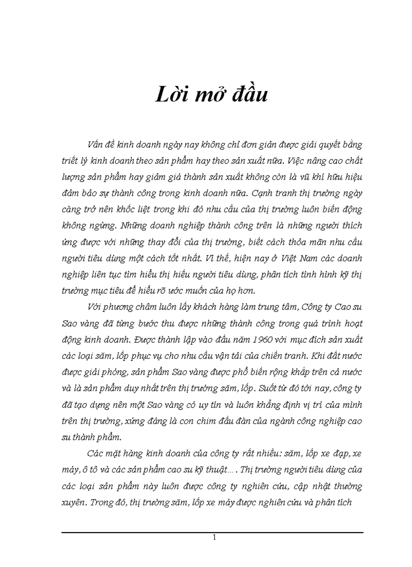 image for page Phân tích thị trường và các giải pháp marketing nhằm thỏa mãn nhu cầu và mong muốn của khách hàng về sản phẩm săm lốp xe máy Công ty Cao su Sao vàng 1