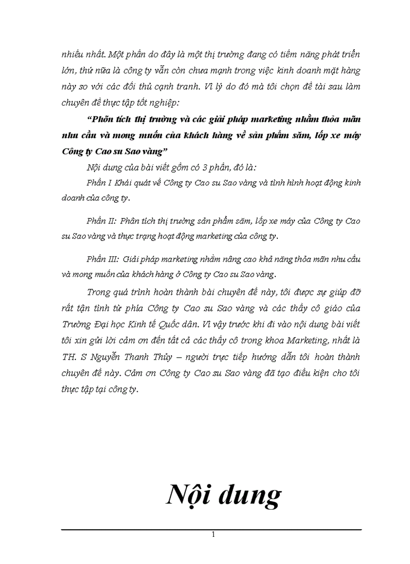 image for page Phân tích thị trường và các giải pháp marketing nhằm thỏa mãn nhu cầu và mong muốn của khách hàng về sản phẩm săm lốp xe máy Công ty Cao su Sao vàng 1