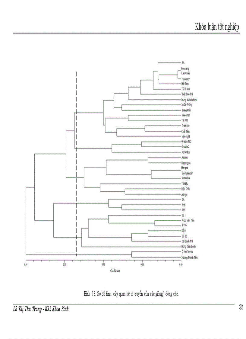 image for page Nghiên cứu đa dạng di truyền các giống dòng chè thu thập ở Việt Nam