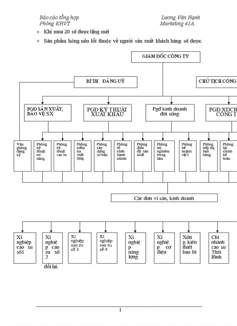 image for page Báo cáo thực tập tổng hợp của công ty cao su sao vàng
