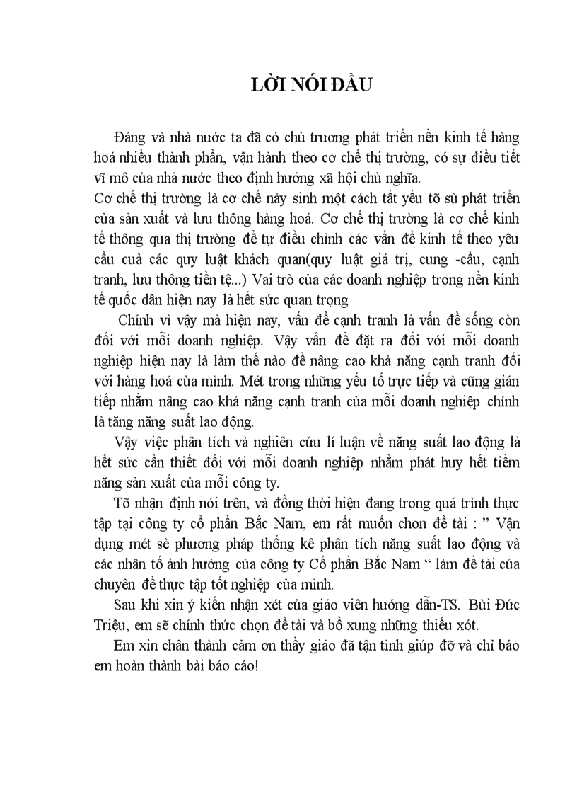 image for page Vận dụng một số phương pháp thống kê phân tích năng suất lao động và các nhân tố ảnh hưởng của công ty Cổ phần Bắc Nam 1