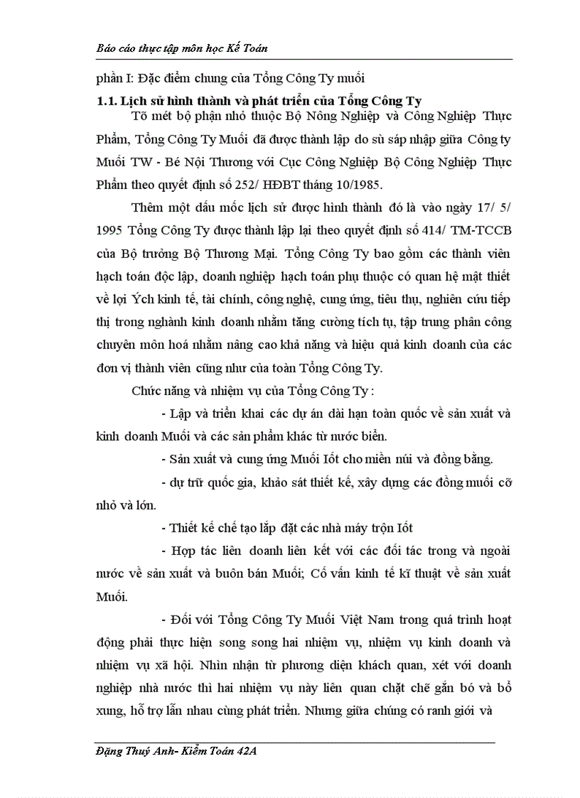 image for page Báo cáo thực tập tổng hợp của Tổng Công Ty Muối