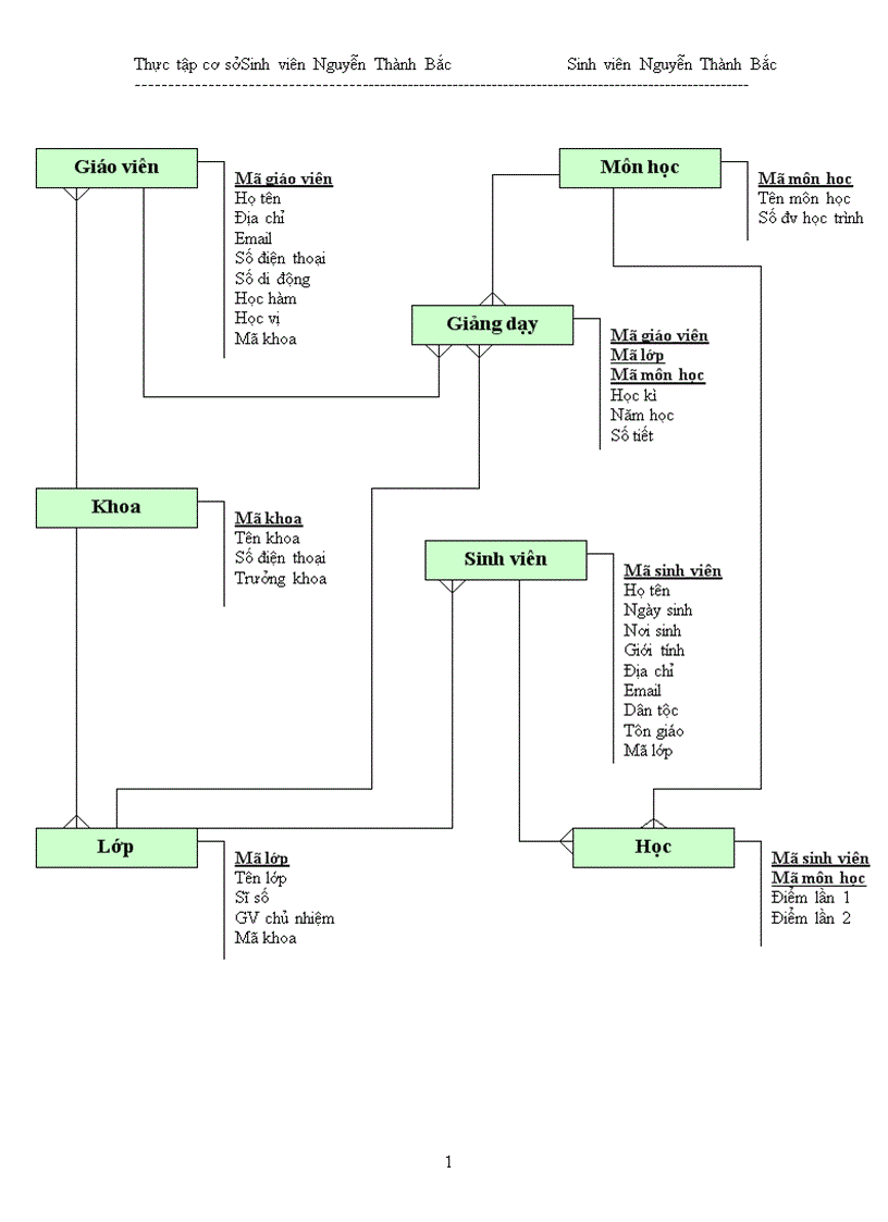 image for page Tìm hiểu công cụ MS Access và xây dựng chương trình Quản lí Sinh viên