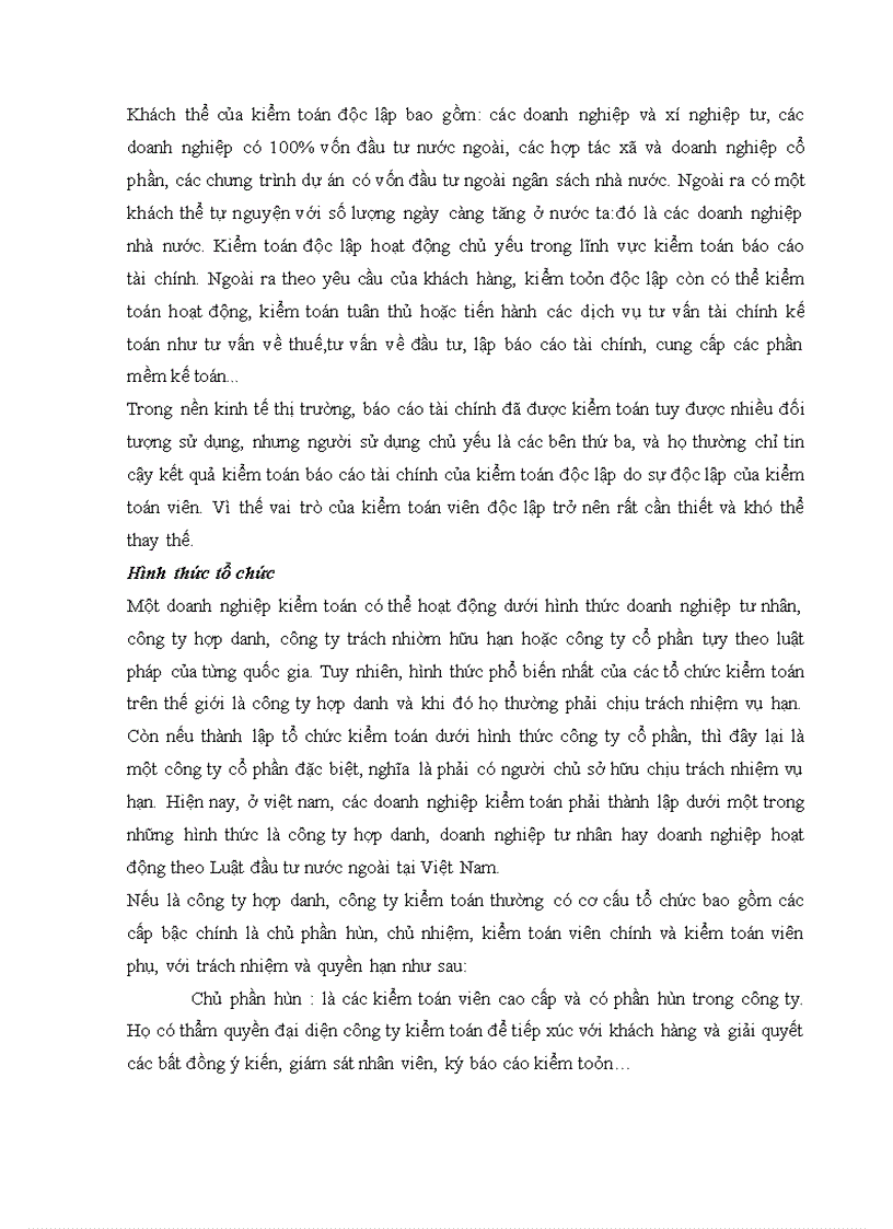 Vai trò của kiểm toán độc lập trong việc kiểm tra kiểm soát các doanh nghiệp Việt Nam hiện nay 1