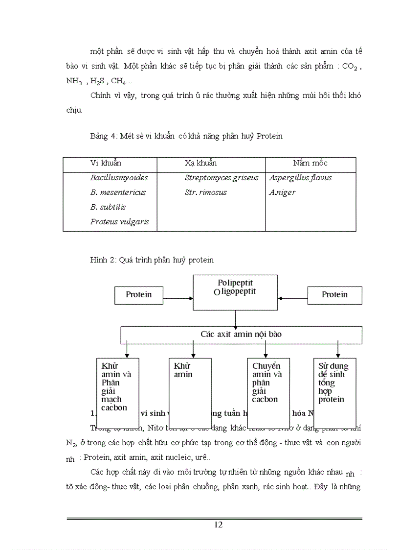 image for page Phân lập tuyển chọn và ứng dụng một số vi khuẩn có khả năng phân giải xenlulo góp phần xử lý rác thải sinh hoạt