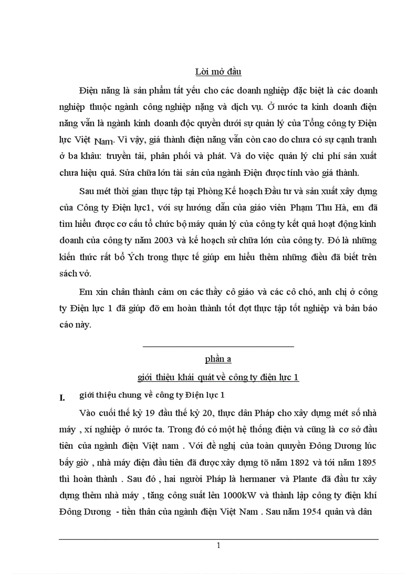 Báo cáo thực tập tại công ty điện lực 1