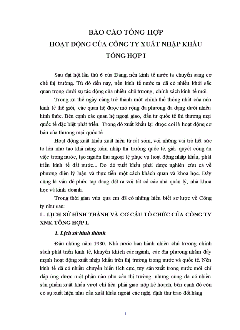 báo cáo tổng hợp hoạt động của công ty xuất nhập khẩu tổng hợp I