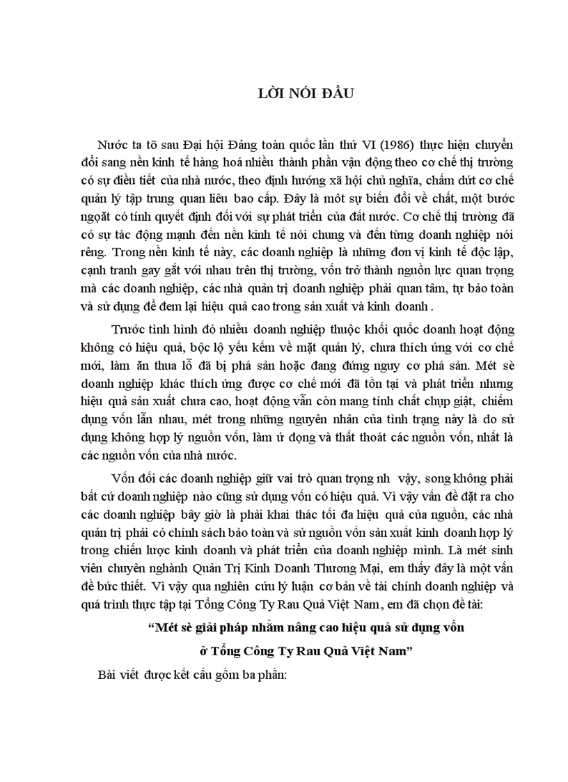 image for page Một số giải pháp nhằm nâng cao hiệu quả sử dụng vốn ở Tổng Công Ty Rau Quả Việt Nam 1