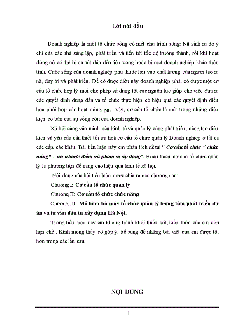 image for page Cơ cấu tổ chức chức năng ưu nhược điểm và phạm vi áp dụng 1