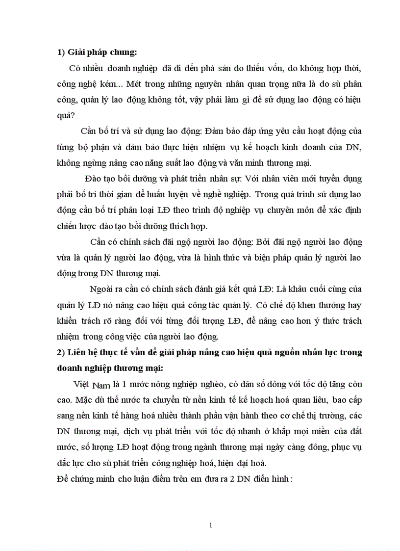 image for page Những giải pháp nâng cao hiệu quả nguồn nhân lực trong doanh nghiệp thương mại 1