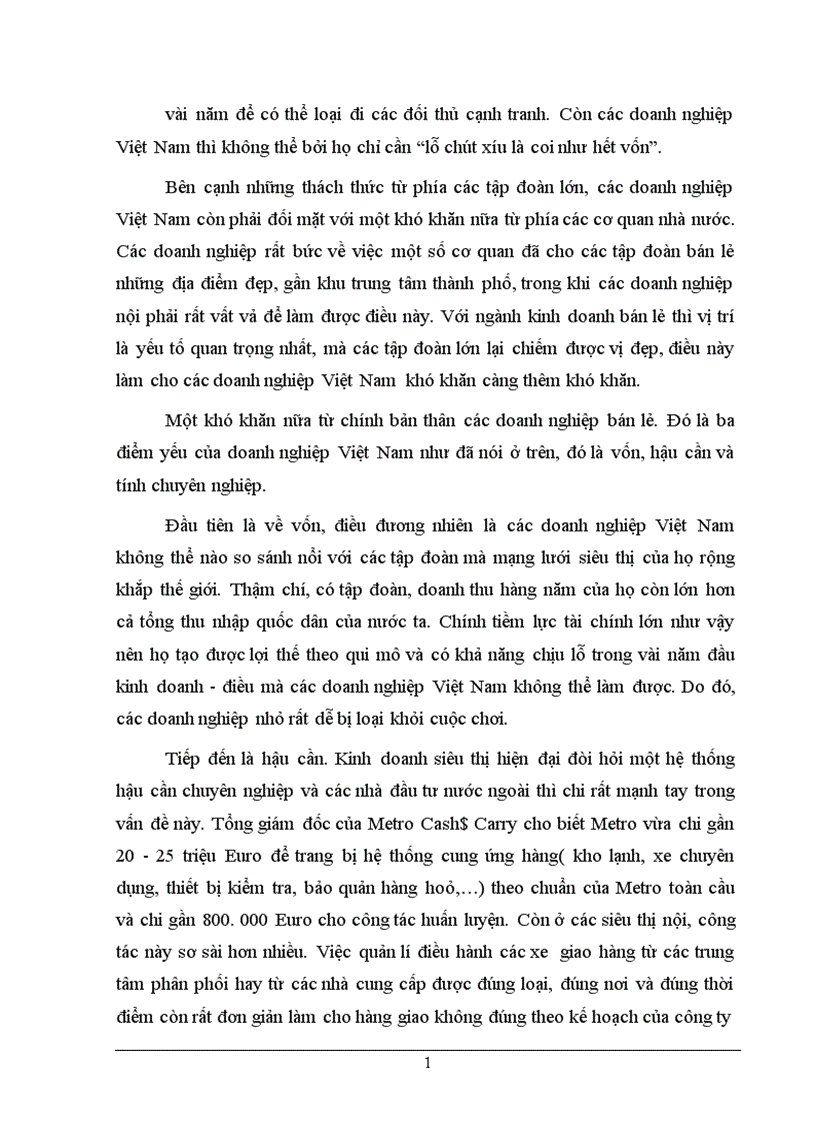 image for page Việt Nam gia nhập WTO Cơ hội thâm nhập thị trường Việt Nam của các tập đoàn bán lẻ quốc tế và một số tác động của nó đối với doanh nghiệp trong nước 1