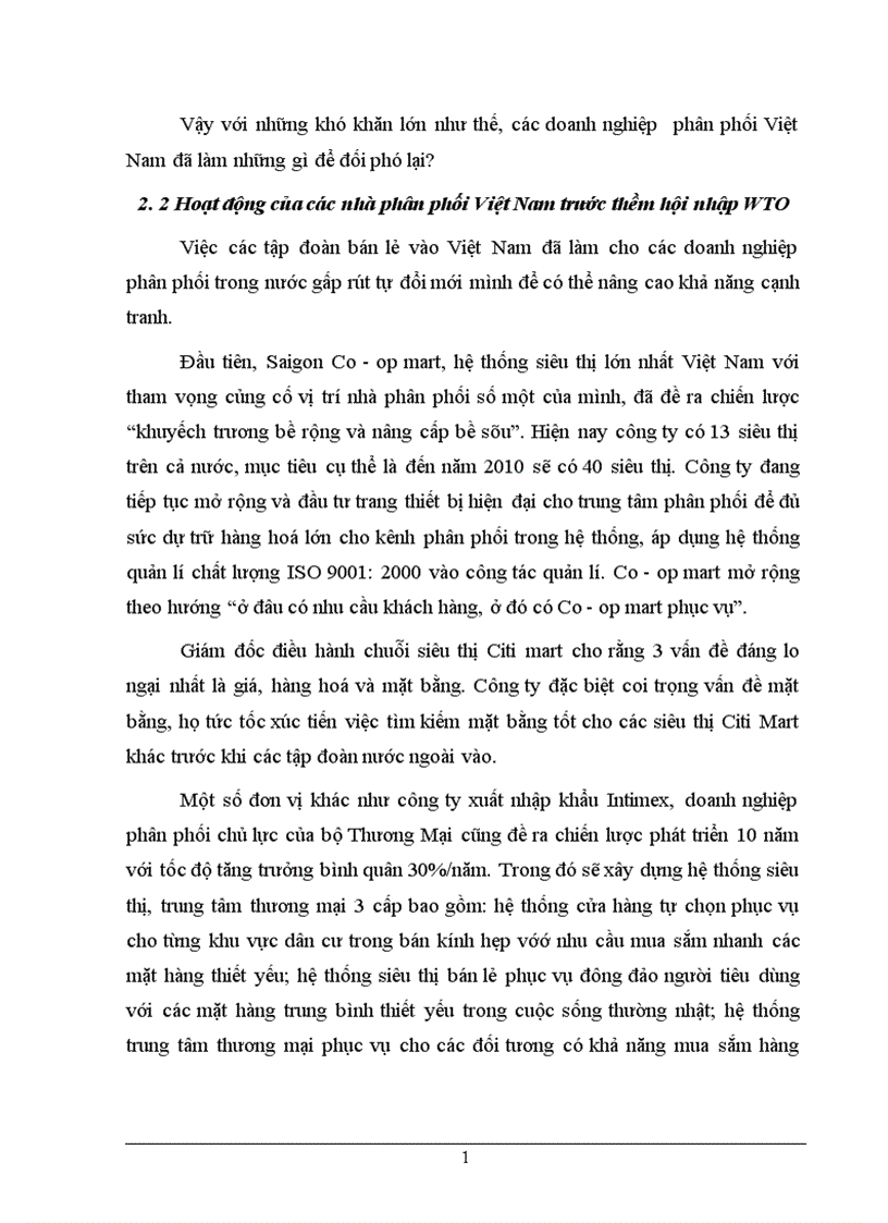 image for page Việt Nam gia nhập WTO Cơ hội thâm nhập thị trường Việt Nam của các tập đoàn bán lẻ quốc tế và một số tác động của nó đối với doanh nghiệp trong nước 1
