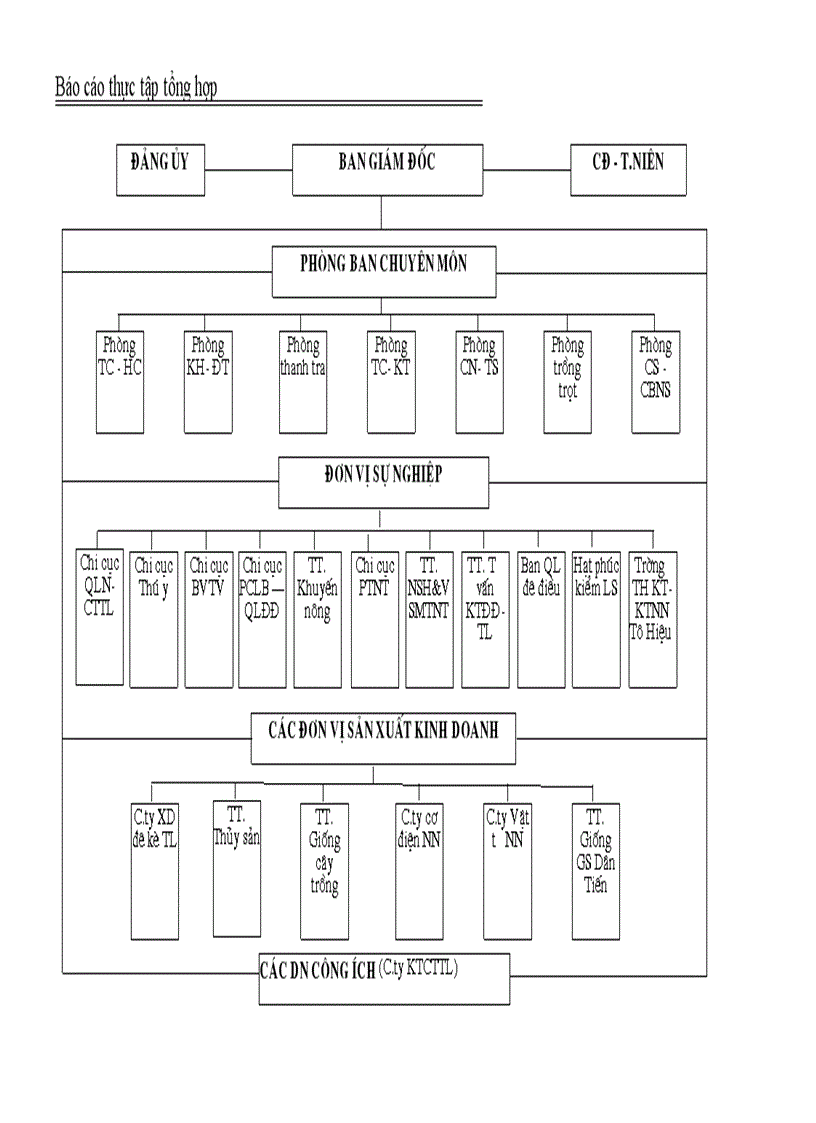 image for page Báo cáo thực tập tổng hợp tại Sở nông nghiệp và phát triển nông thôn NN PTNT tỉnh Hưng Yên