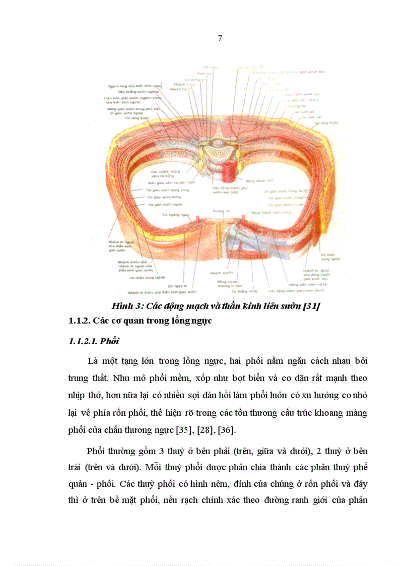 image for page Nghiên cứu ứng dụng phẫu thuật nội soi lồng ngực trong chẩn đoán và điều trị chấn thương ngực