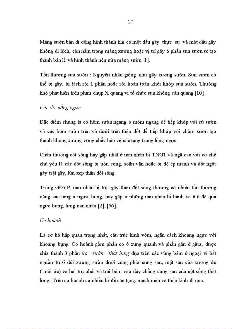 image for page Nghiên cứu hình thái của chấn thương ngực trên những nạn nhân tử vong do TNGT đường bộ qua giám định Y Pháp