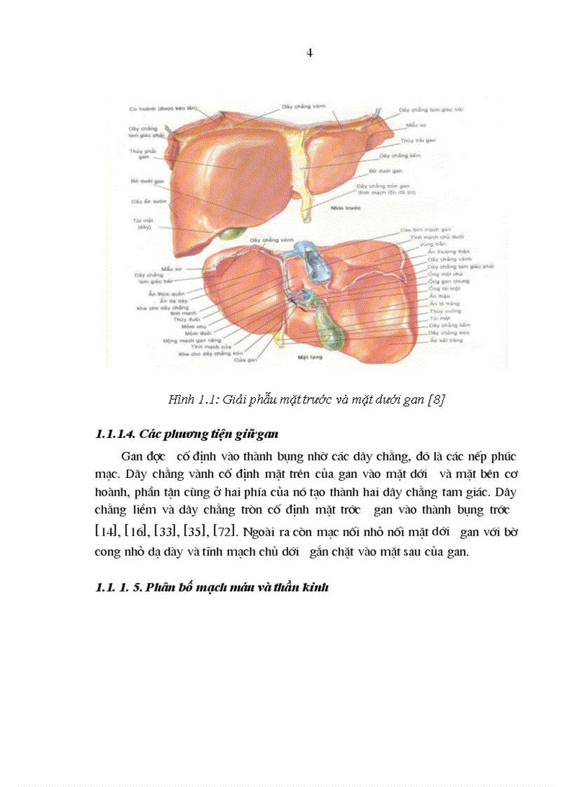 image for page Nghiên cứu áp dụng các phương pháp điều trị bảo tồn lách do chấn thương trong hoàn cảnh Việt Nam