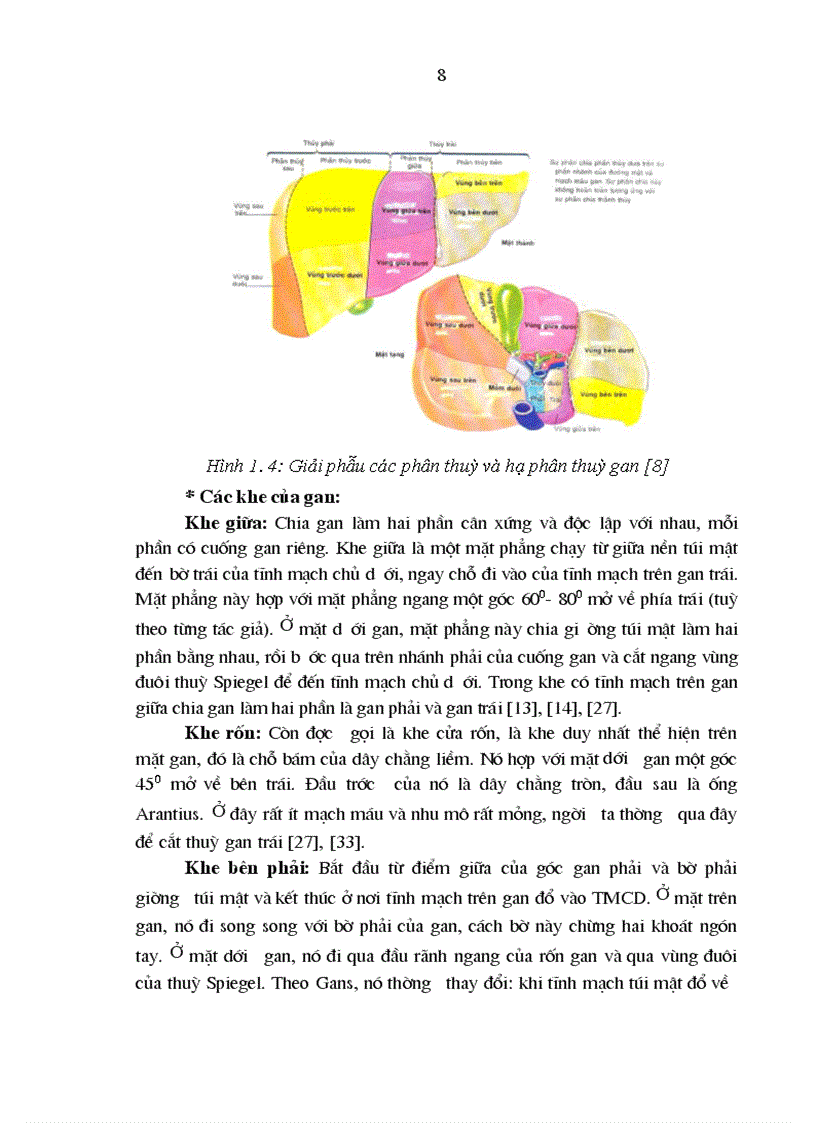 image for page Nghiên cứu áp dụng các phương pháp điều trị bảo tồn lách do chấn thương trong hoàn cảnh Việt Nam