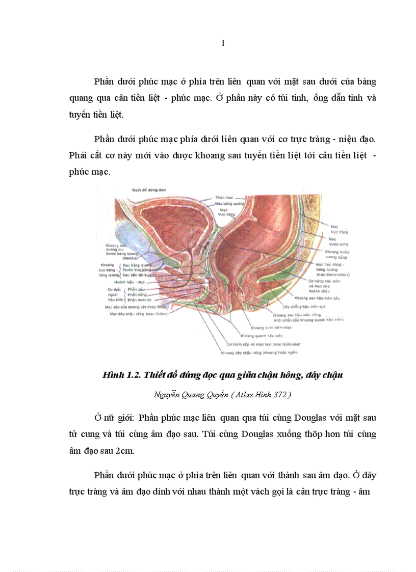 image for page Đánh giá kết quả điều trị mất tự chủ hậu môn do tổn thương cơ thắt sau đẻ theo phương pháp Musset