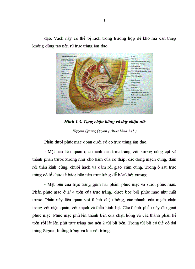 image for page Đánh giá kết quả điều trị mất tự chủ hậu môn do tổn thương cơ thắt sau đẻ theo phương pháp Musset