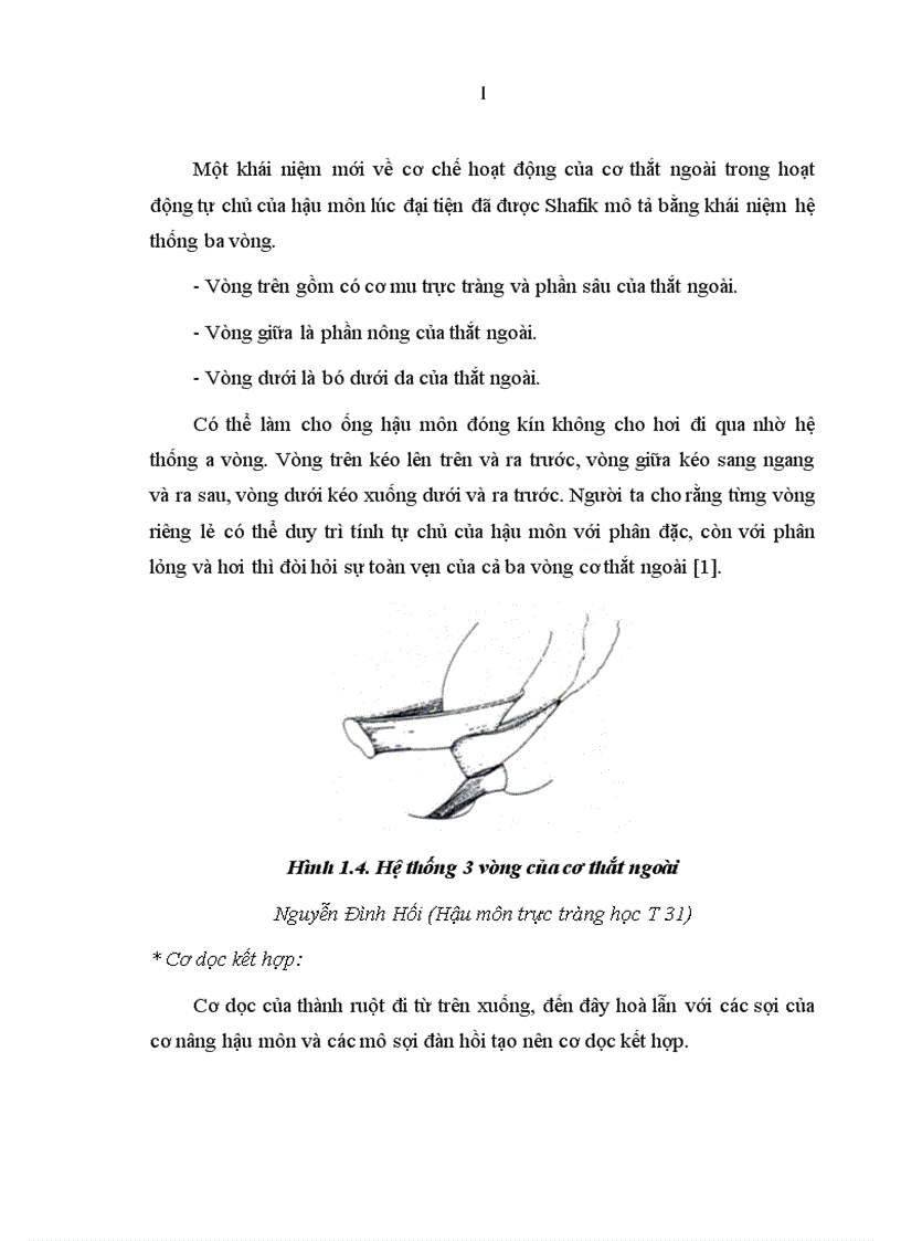 image for page Đánh giá kết quả điều trị mất tự chủ hậu môn do tổn thương cơ thắt sau đẻ theo phương pháp Musset