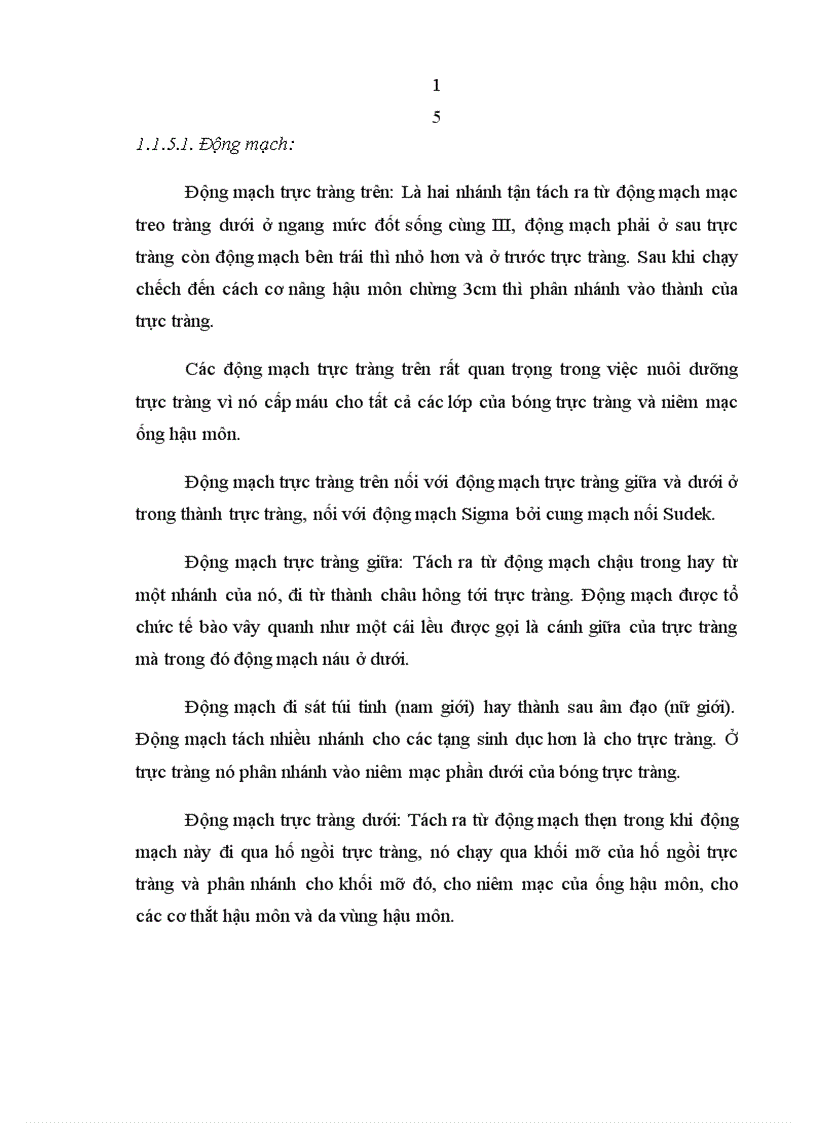 image for page Đánh giá kết quả điều trị mất tự chủ hậu môn do tổn thương cơ thắt sau đẻ theo phương pháp Musset