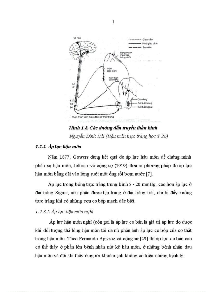 image for page Đánh giá kết quả điều trị mất tự chủ hậu môn do tổn thương cơ thắt sau đẻ theo phương pháp Musset