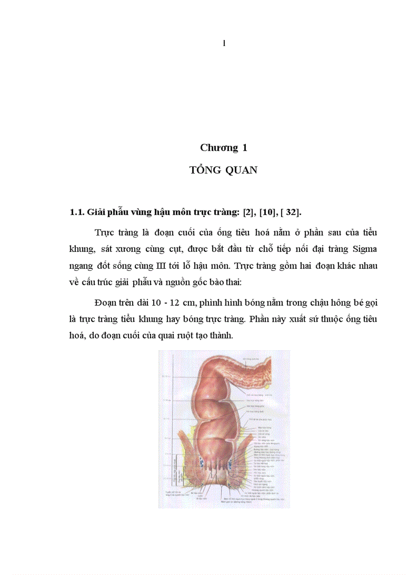 image for page Đánh giá kết quả điều trị mất tự chủ hậu môn do tổn thương cơ thắt sau đẻ theo phương pháp Musset 1