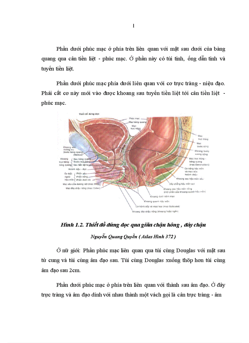 image for page Đánh giá kết quả điều trị mất tự chủ hậu môn do tổn thương cơ thắt sau đẻ theo phương pháp Musset 1