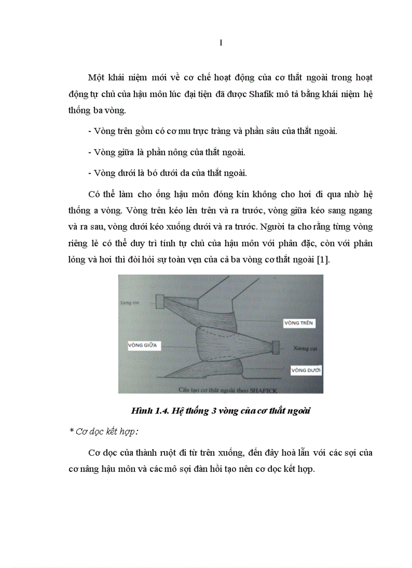 image for page Đánh giá kết quả điều trị mất tự chủ hậu môn do tổn thương cơ thắt sau đẻ theo phương pháp Musset 1