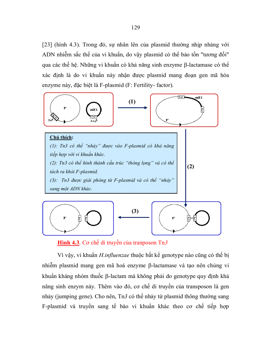 image for page Đặc điểm sinh học phân tử của Haemophilus influenzae typ b phân lập từ bệnh nhi viêm màng não dưới 5 tuổi và trẻ khỏe mạnh tại nhà trẻ mẫu giáo