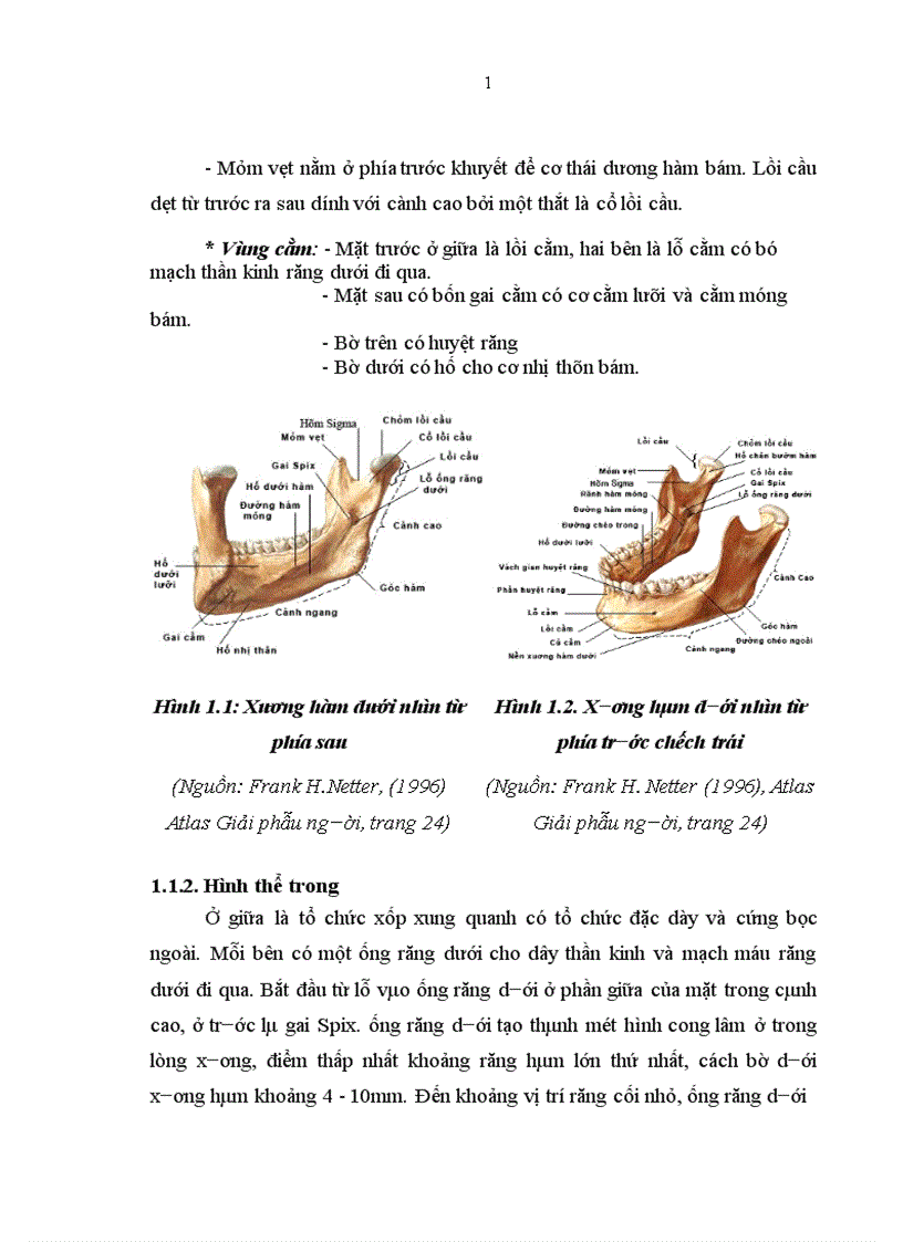 image for page Nhận xột đặc điểm lõm sàng X quang và kết quả điều trị góy XHD vùng cằm do chấn thương tại Bệnh viện Răng Hàm Mặt trung ương 2010 2011