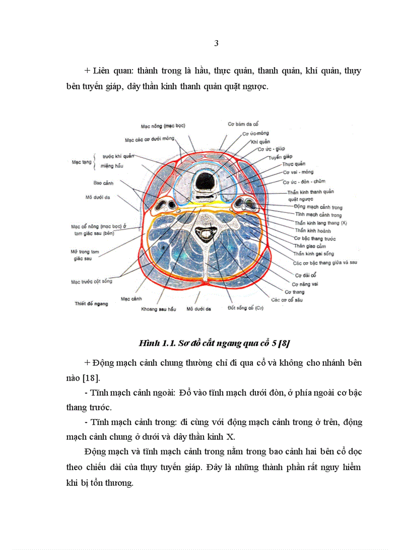 image for page Nghiên cứu điều trị ung thư tuyến giáp thể biệt hóa bằng phẫu thuật cắt toàn bộ tuyến giáp và các mức liều i 131 hủy mô giáp