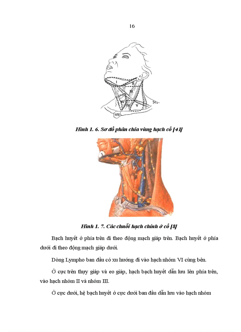 image for page Nghiên cứu điều trị ung thư tuyến giáp thể biệt hóa bằng phẫu thuật cắt toàn bộ tuyến giáp và các mức liều i 131 hủy mô giáp