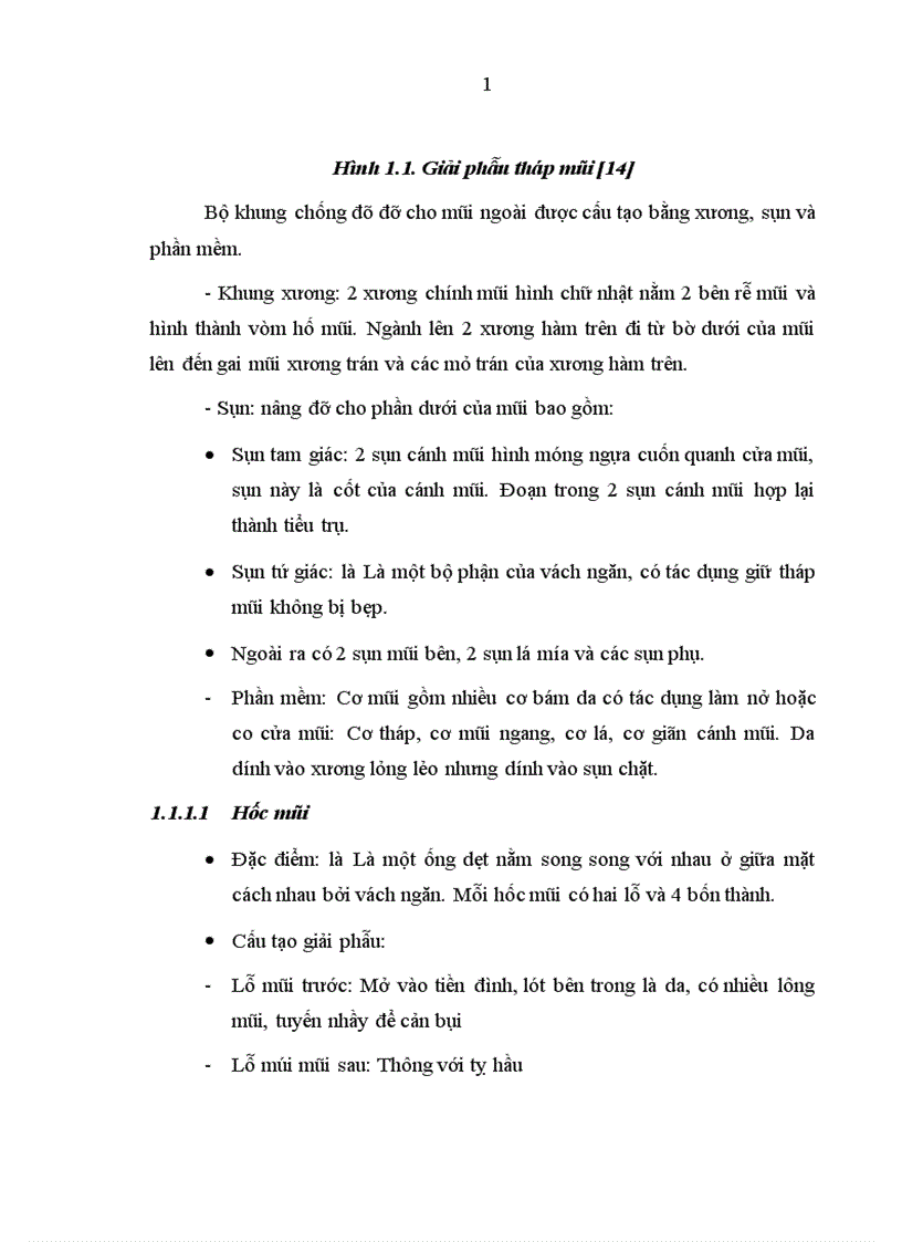 image for page Nghiên cứu đặc điểm lâm sàng và chụp cắt lớp vi của chấn thương tháp mũi