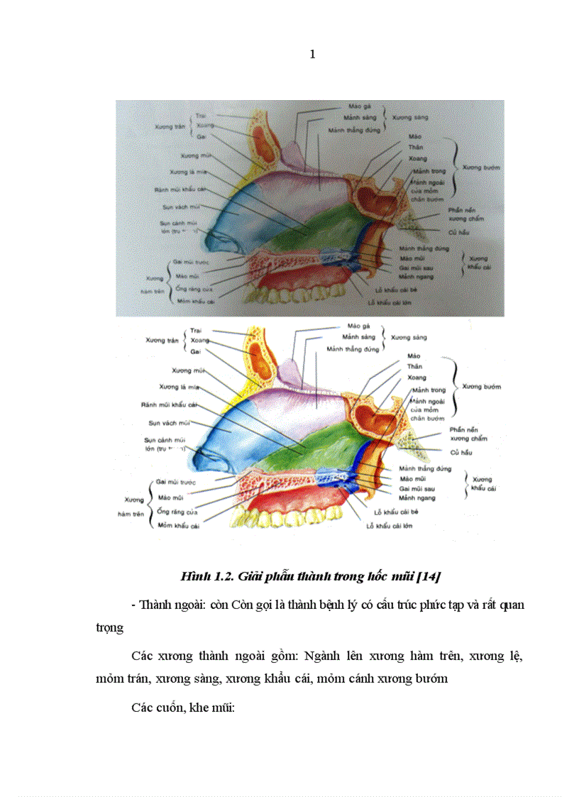 image for page Nghiên cứu đặc điểm lâm sàng và chụp cắt lớp vi của chấn thương tháp mũi