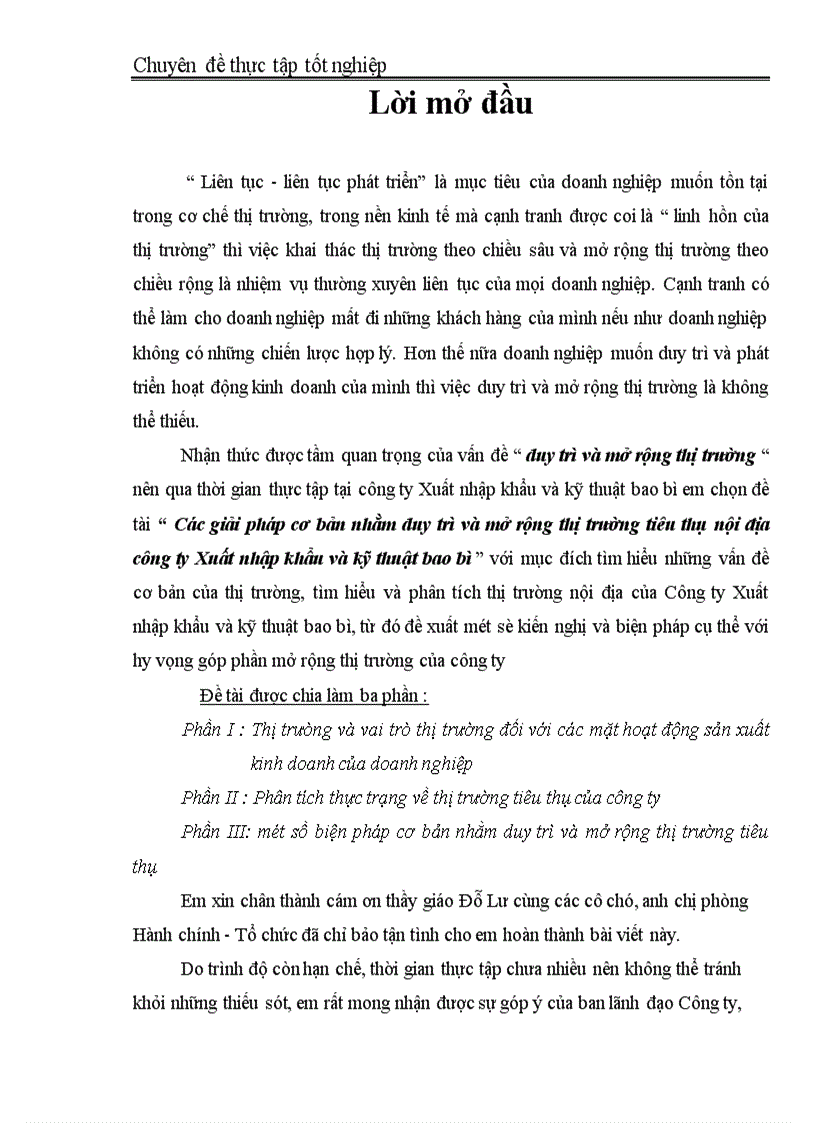 image for page Các giải pháp cơ bản nhằm duy trì và mở rộng thị trường tiêu thụ nội địa Công ty Xuất nhập khẩu và kỹ thuật bao bì 1