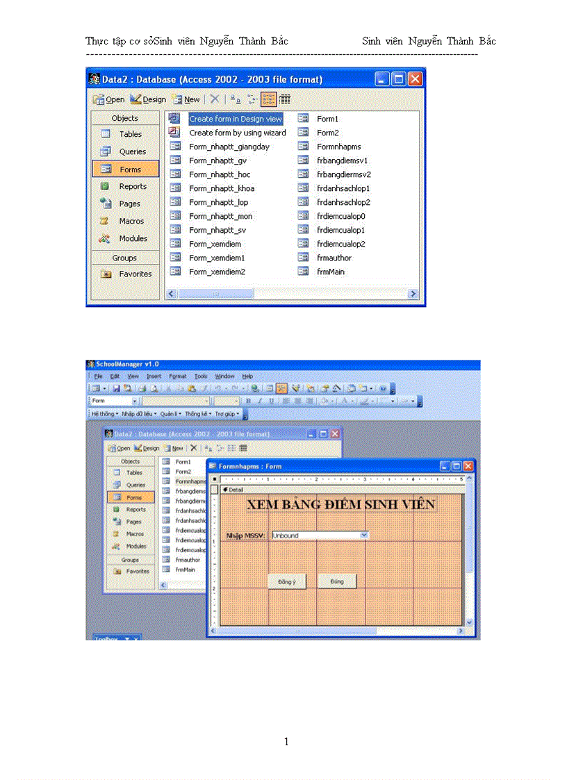 image for page Tìm hiểu công cụ MS Access và xây dựng chương trình Quản lí