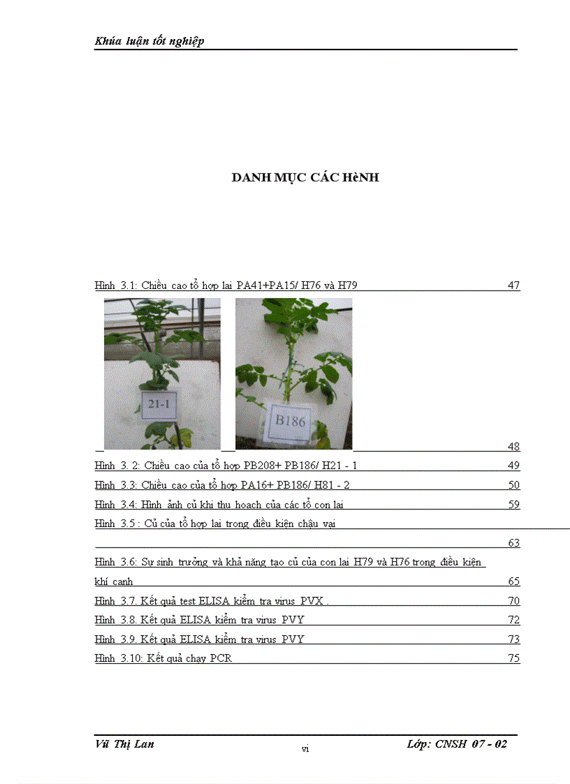 image for page Nghiên cứu đánh giá các đặc tính nông sinh học và khả năng kháng virus của con lai soma khoai tây dung hợp tế bào trần