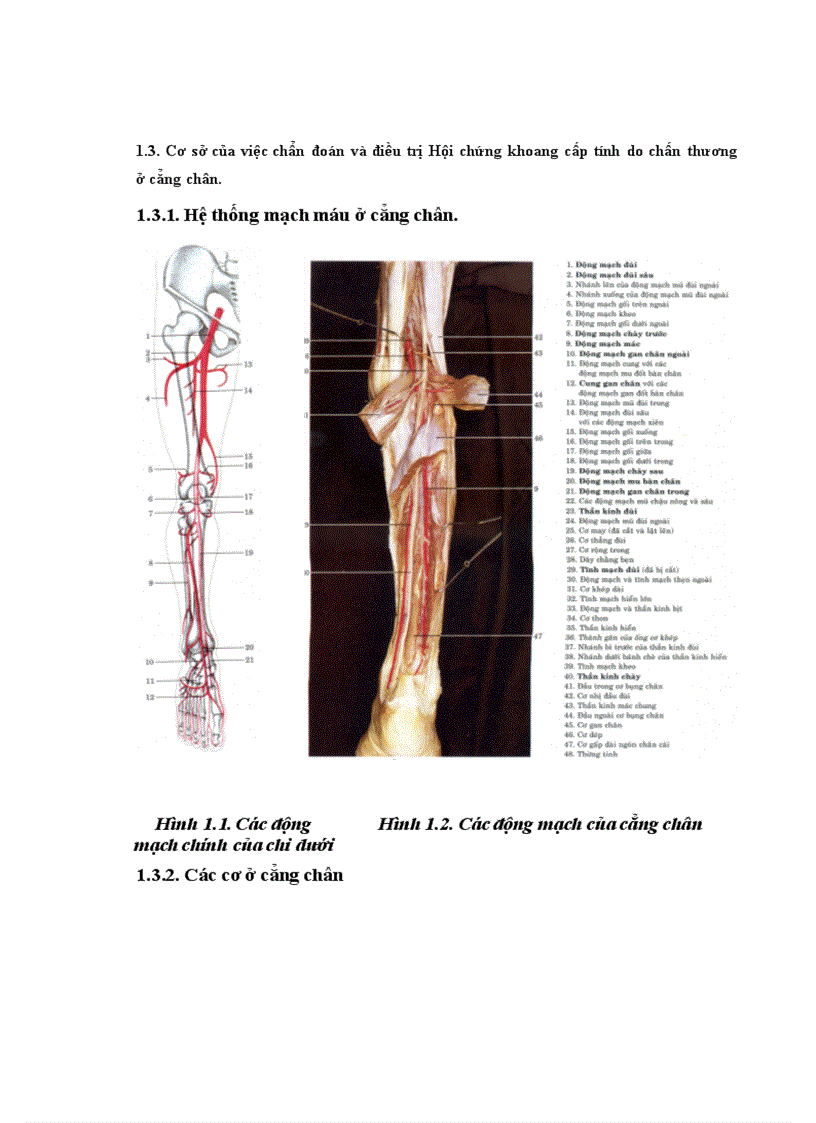 image for page Đánh giá kết quả điều trị hội chứng chèn ép khoang cẳng chân sau chấn thương tại bệnh viện việt đức từ 2003 2007