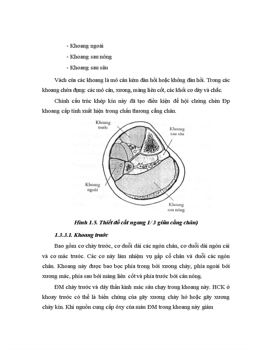 image for page Đánh giá kết quả điều trị hội chứng chèn ép khoang cẳng chân sau chấn thương tại bệnh viện việt đức từ 2003 2007
