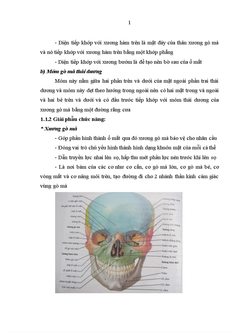 image for page Nhận xét đặc điểm lâm sàng X quang và kết quả điều trị g y xương gò má cung tiếp bằng nẹp vít tự tiêu