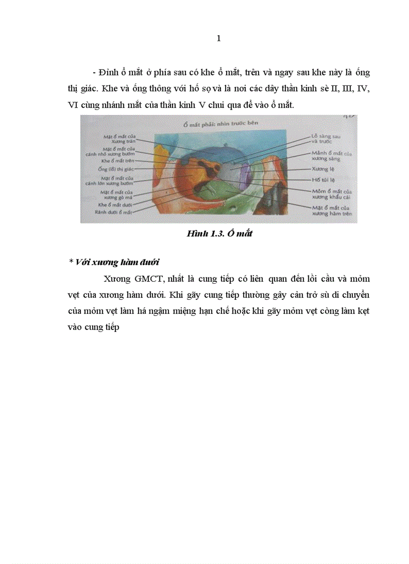 image for page Nhận xét đặc điểm lâm sàng X quang và kết quả điều trị g y xương gò má cung tiếp bằng nẹp vít tự tiêu