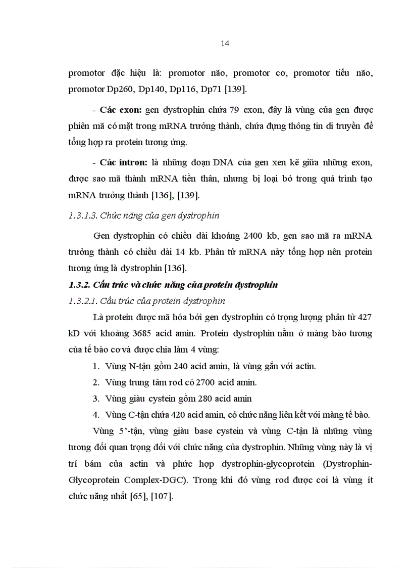 image for page Xác định đột biến mất đoạn gen dystrophin gây bệnh loạn dưỡng cơ Duchenne ở mức độ mRNA và phát hiện người lành mang gen bệnh