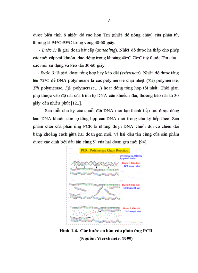 image for page Xác định đột biến mất đoạn gen dystrophin gây bệnh loạn dưỡng cơ Duchenne ở mức độ mRNA và phát hiện người lành mang gen bệnh