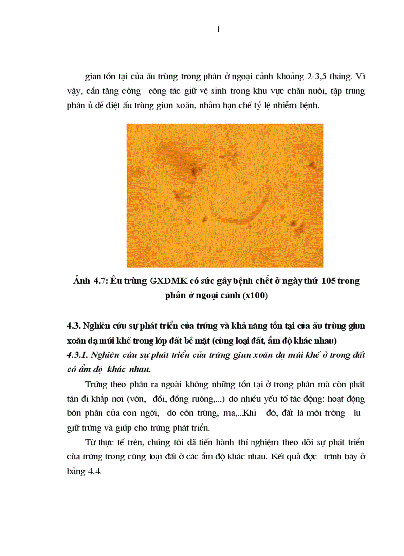 image for page Nghiên cứu sự phát triển của trứng và khả năng tồn tại của ấu trùng giun xoăn dạ múi khế ở ngoại cảnh