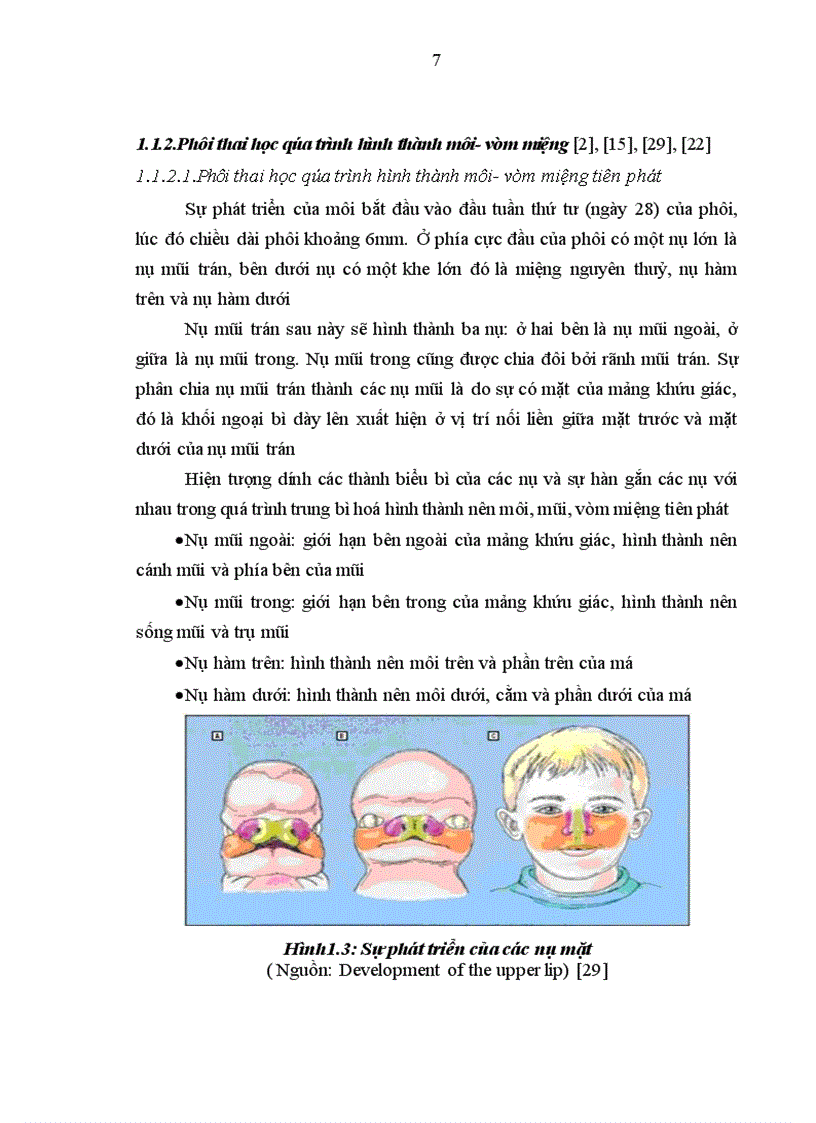 image for page Đánh giá vai trò tạo hình chữ Z ở trên đường viền da môi đỏ trong phương pháp Millard mổ khe hở môi một bên toàn bộ