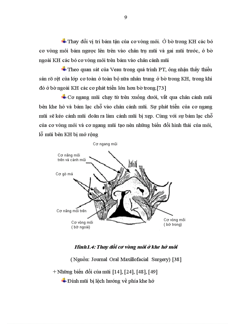 image for page Đánh giá vai trò tạo hình chữ Z ở trên đường viền da môi đỏ trong phương pháp Millard mổ khe hở môi một bên toàn bộ