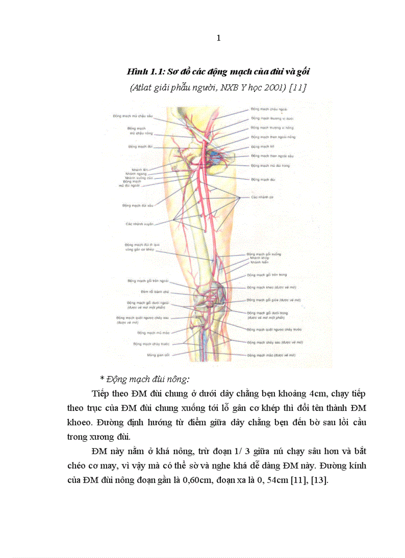 image for page Mô tả đặc điểm hình ảnh các tổn thương mạch máu chi dưới do chấn thương trên phim chụp mạch